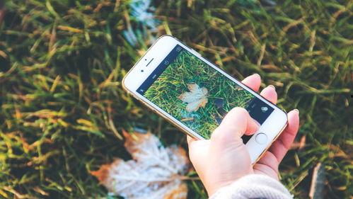 手机看片国产永久福利