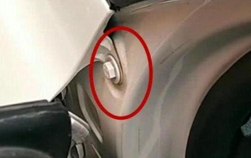 91po国产,揭秘神秘东方古国的历史与文化